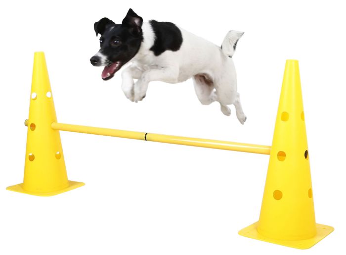 SURENHAP Saut d’agilité pour chien Jouet d'exercice d'équipement de jeux de  barre d'obstacle de saut d'agilité animalerie panier