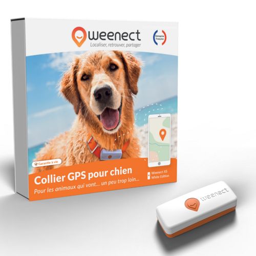 coquille de protection pour le sport canin. Pour la protections et la  sécurité avec votre chien en Sport Canin.