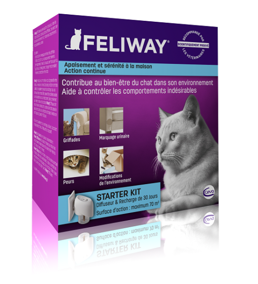 Feliway, Conseils pour chats