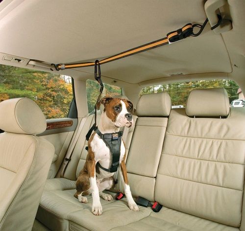 Panier chien voiture : Couchage de transport 100% Adapté - Chien & Chiot