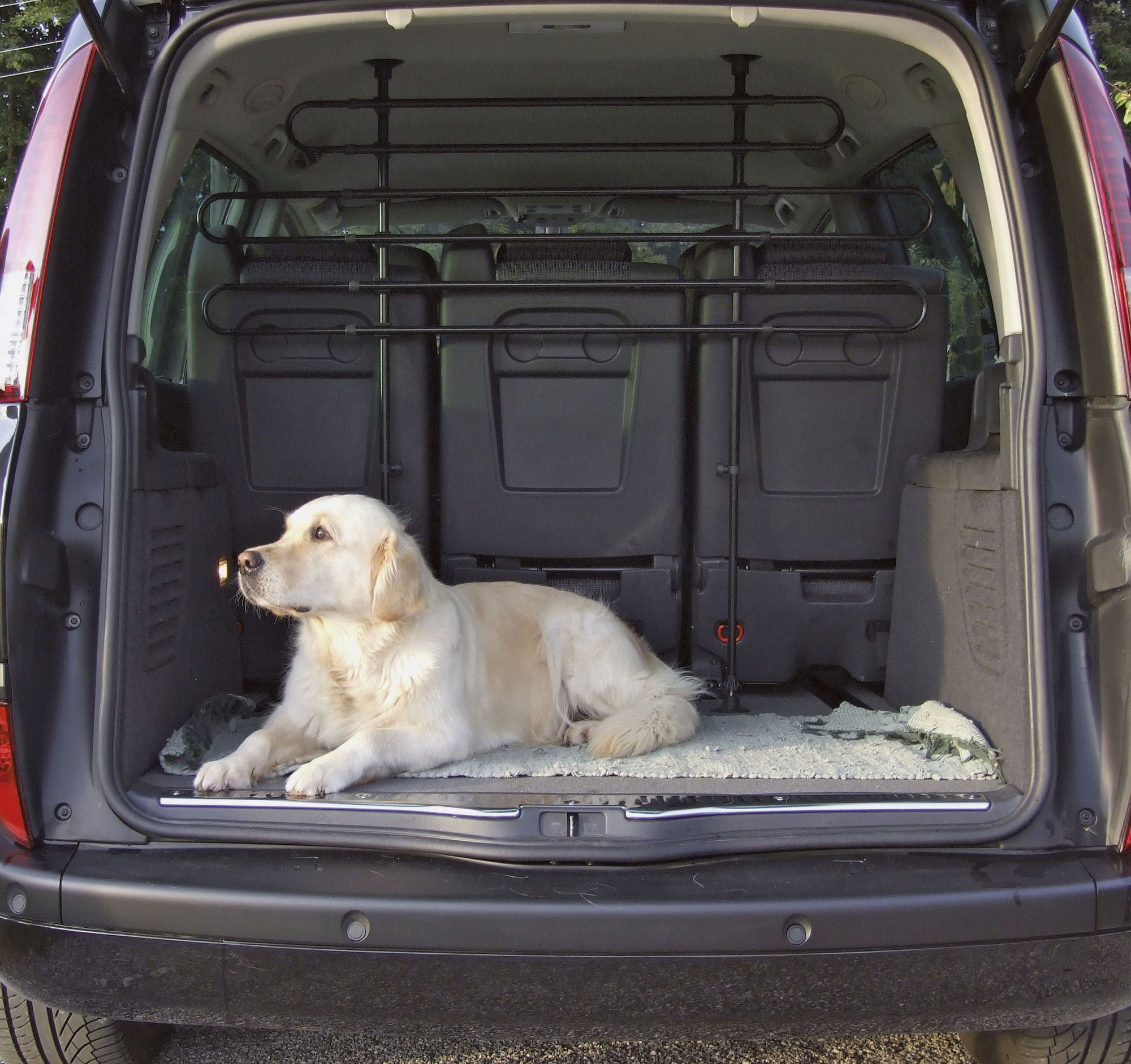 Grille de séparation extensible voiture barrière de sécurité barre réglable pour  chien acier noir - Transport et voyage du chien - Achat & prix