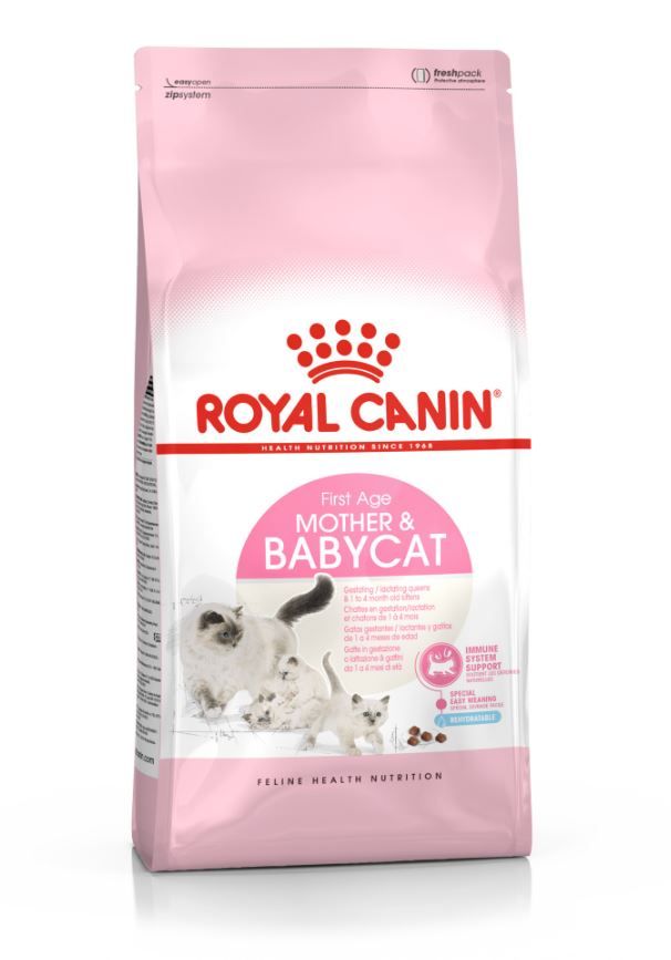 Royal Canin barquette Baby Cat Instinctive. Aliments pour chats et chatons,  Royal Canin croquettes et paté pour chat : Morin, alimentation élaborée par  les vétérinaires