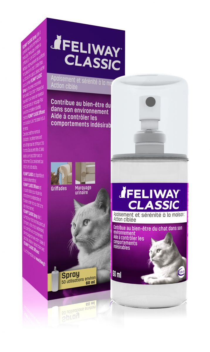 WERPOWER Spray anti-griffures pour chat et spray dissuasif pour chat,  violet : : Animalerie