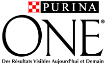 Purina One - Croquettes au Poulet et Céréales pour Chaton - 1,5Kg